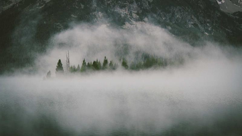 百人牛牛多人同场竞技